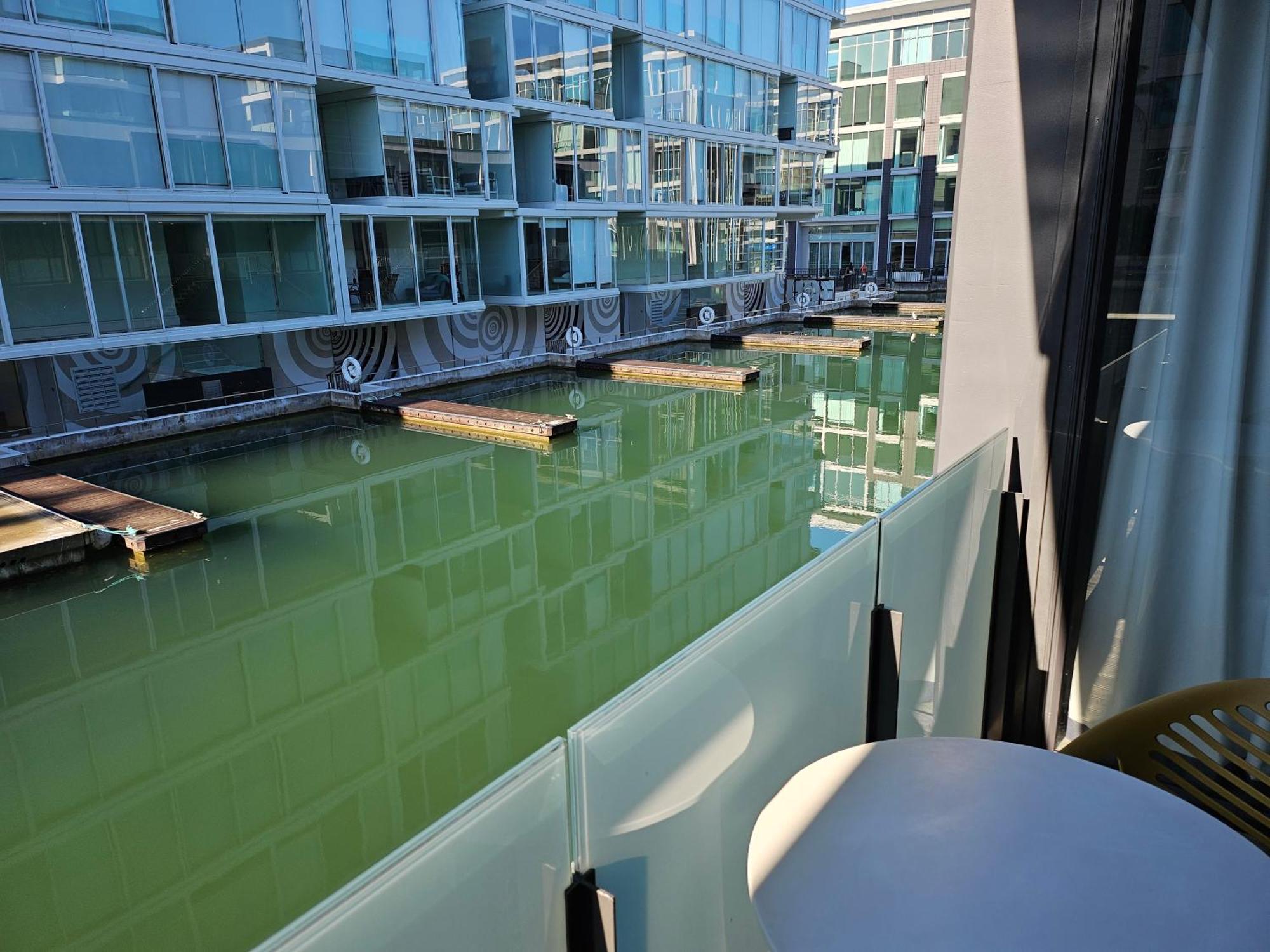 Pavilions Marina Apartment 102 - Wynyard Quarter Viaduct Harbour Auckland Exterior foto